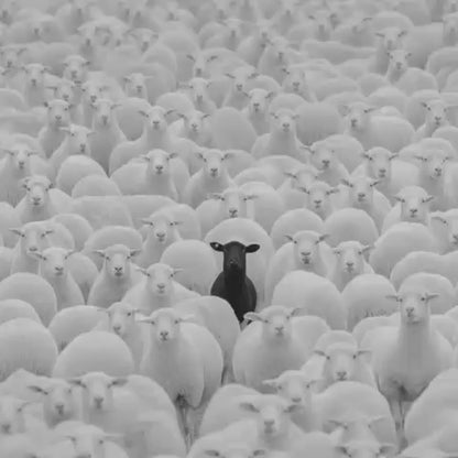 MÜZE (DRILL TYPE BEAT)